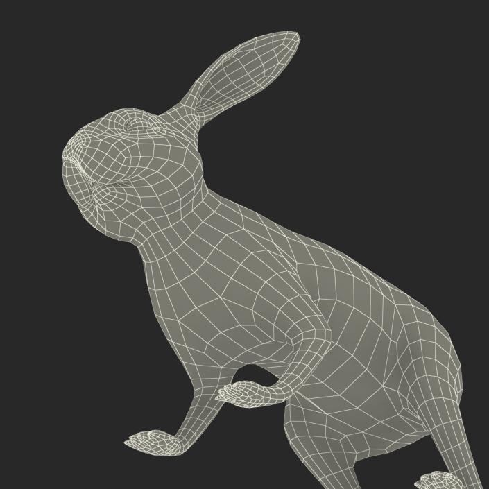 White Rabbit Rigged 3D model