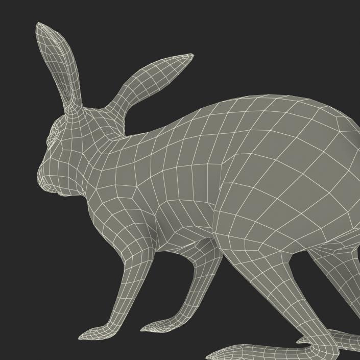 White Rabbit Rigged 3D model