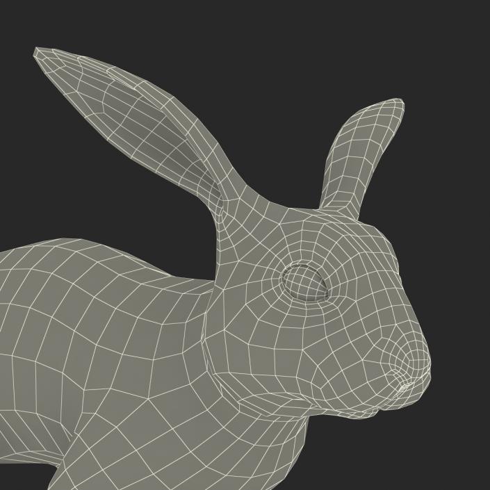 White Rabbit Rigged 3D model