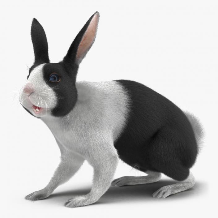 Black Rabbit Rigged 3D model