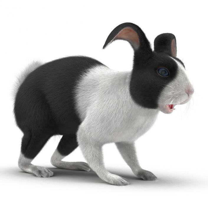 Black Rabbit Rigged 3D model