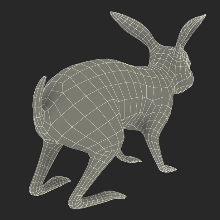 Black Rabbit Rigged 3D model