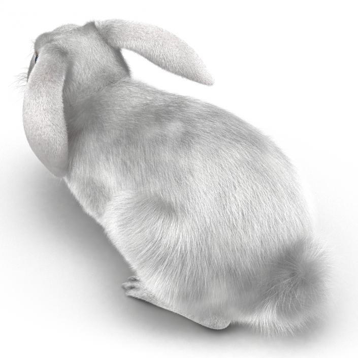 White Rabbit Pose 2 3D model