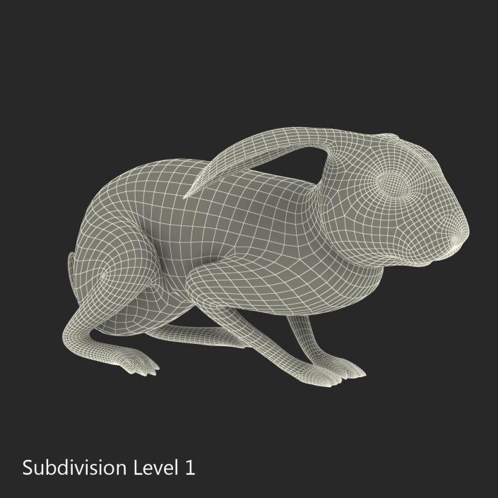 White Rabbit Pose 2 3D model