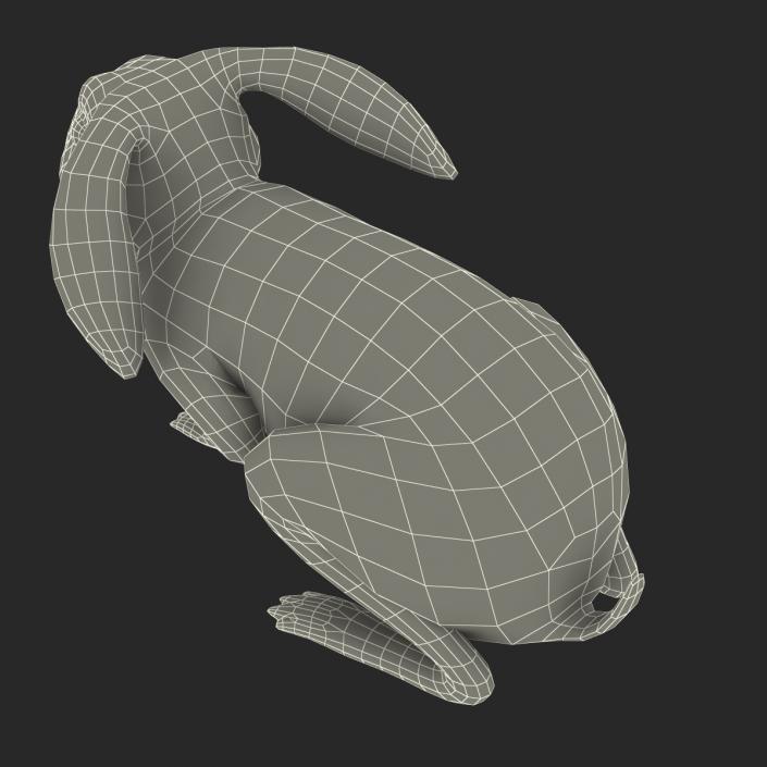 White Rabbit Pose 2 3D model