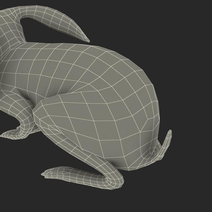 White Rabbit Pose 2 3D model