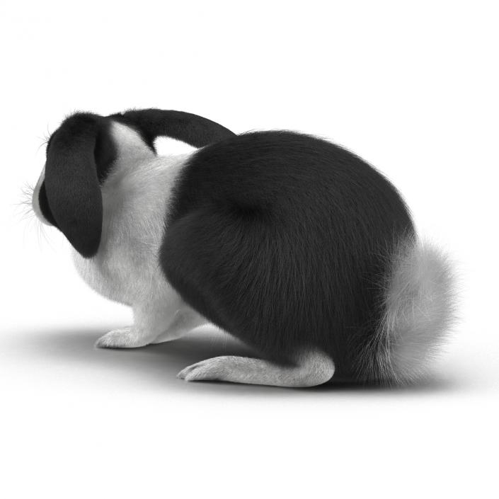 Black Rabbit Pose 2 3D model