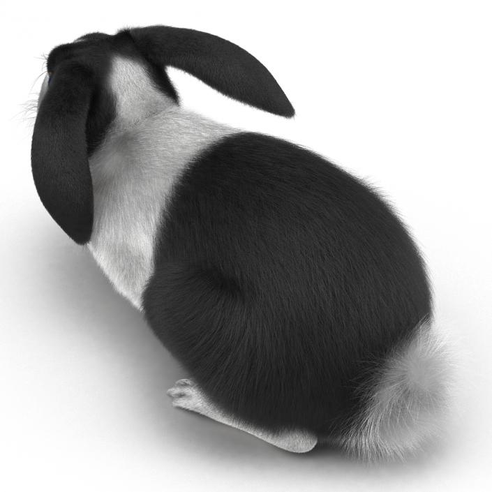 Black Rabbit Pose 2 3D model