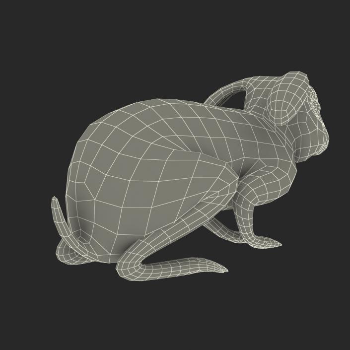 Black Rabbit Pose 2 3D model