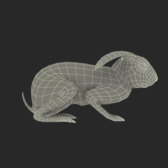 Black Rabbit Pose 2 3D model