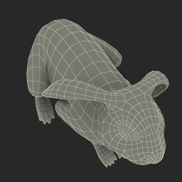 Black Rabbit Pose 2 3D model