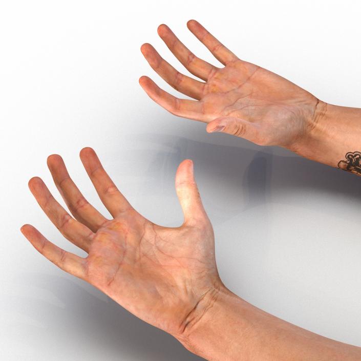 3D Biker Hands