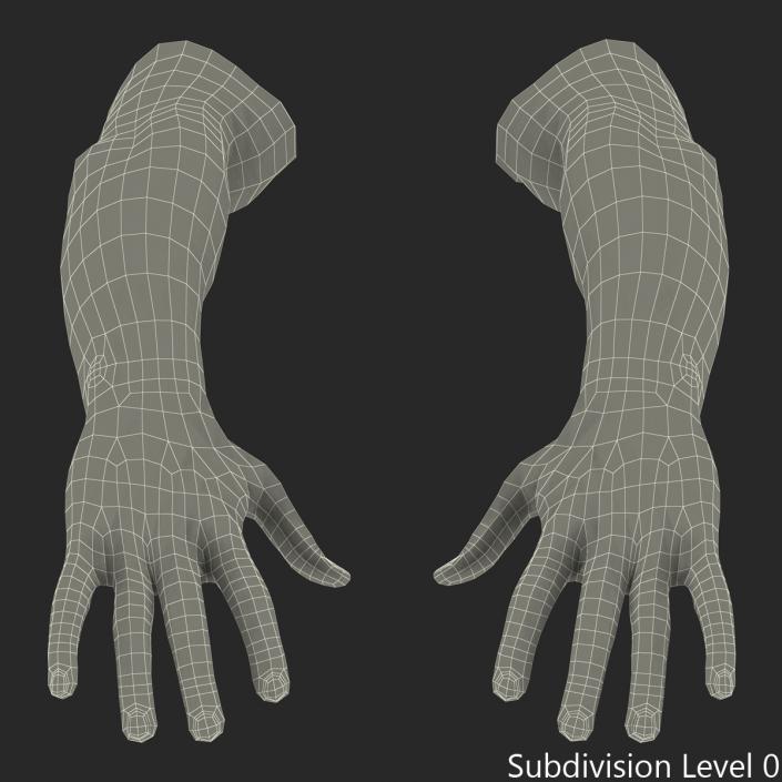 3D Biker Hands