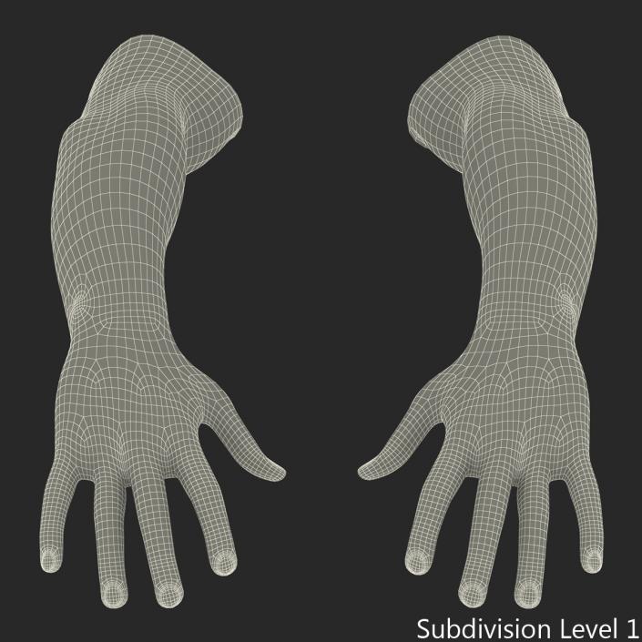 3D Biker Hands