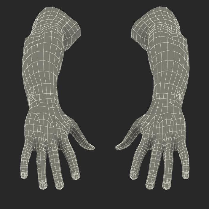 3D Biker Hands