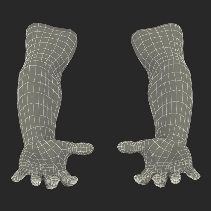 3D Biker Hands