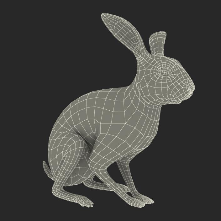 White Rabbit Pose 3 3D model