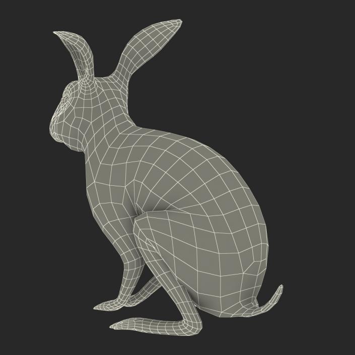 White Rabbit Pose 3 3D model