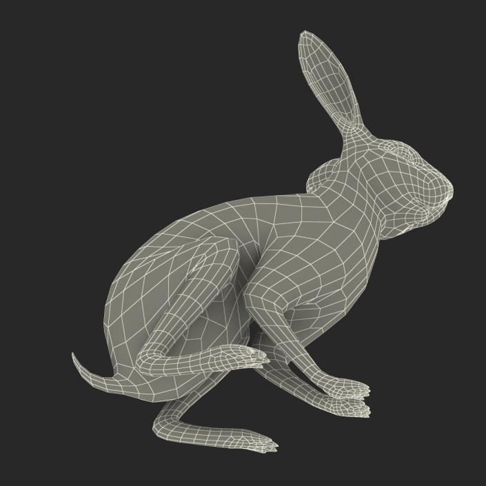 White Rabbit Pose 3 3D model