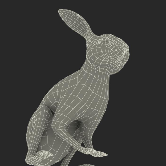 White Rabbit Pose 3 3D model