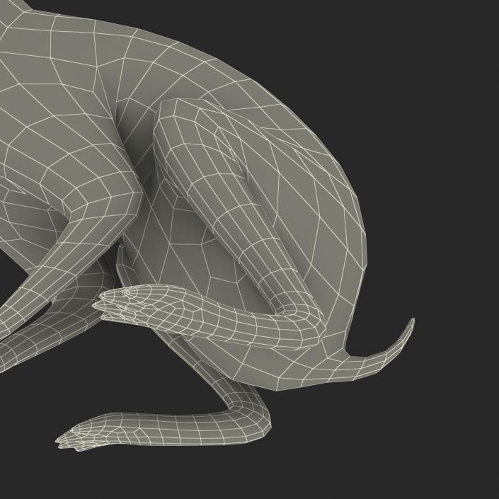 White Rabbit Pose 3 3D model