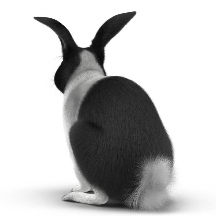 Black Rabbit Pose 3 3D model