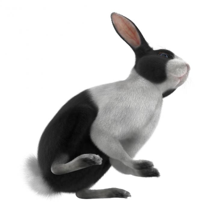 Black Rabbit Pose 3 3D model