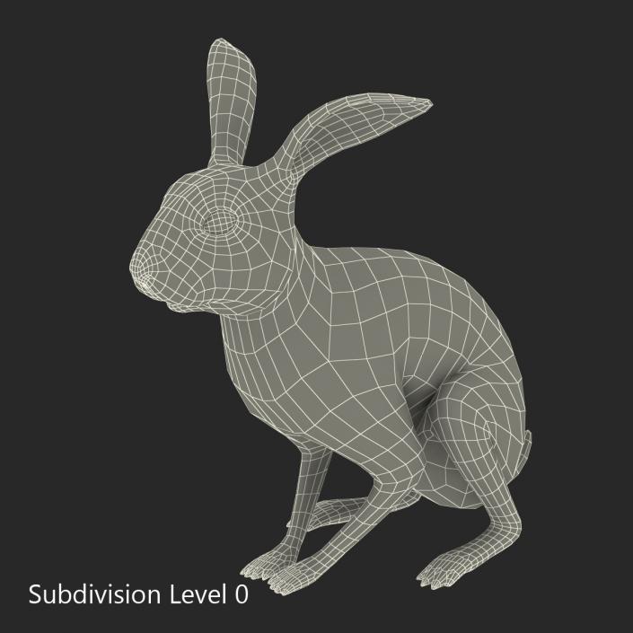 Black Rabbit Pose 3 3D model