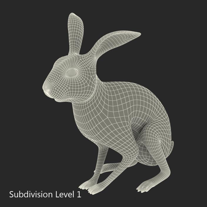 Black Rabbit Pose 3 3D model