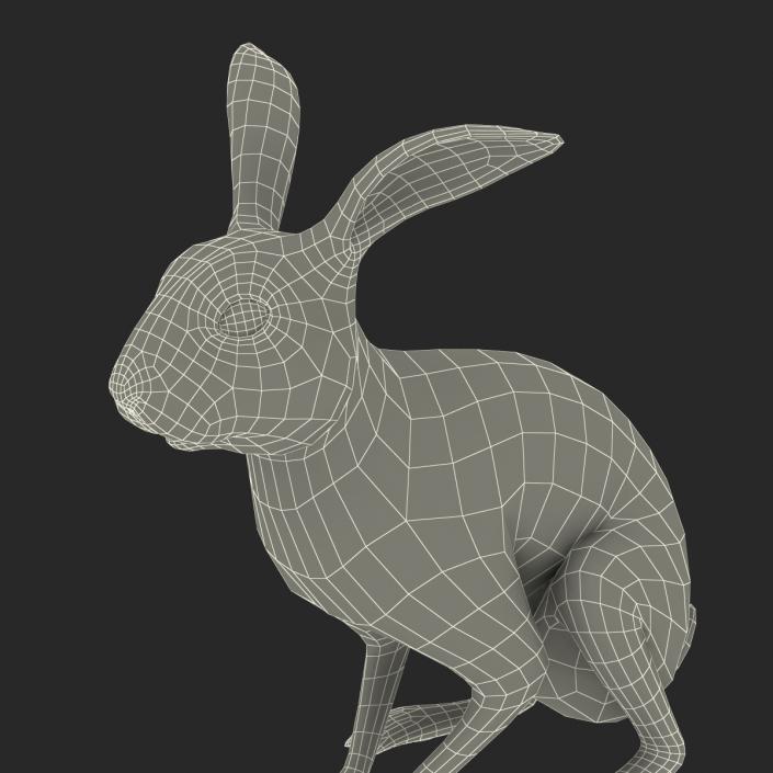 Black Rabbit Pose 3 3D model