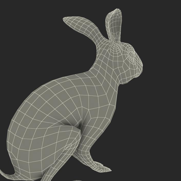 Black Rabbit Pose 3 3D model