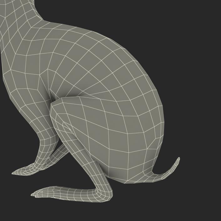 Black Rabbit Pose 3 3D model