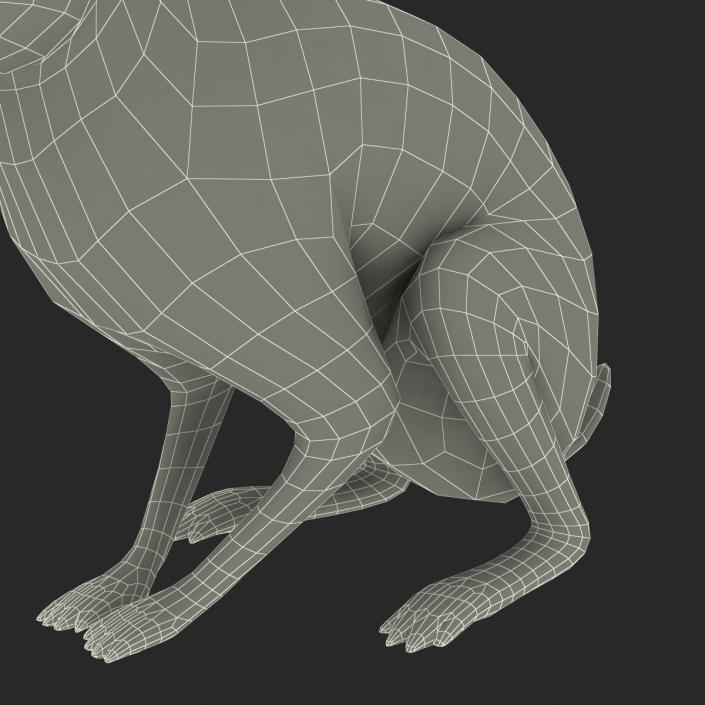 Black Rabbit Pose 3 3D model