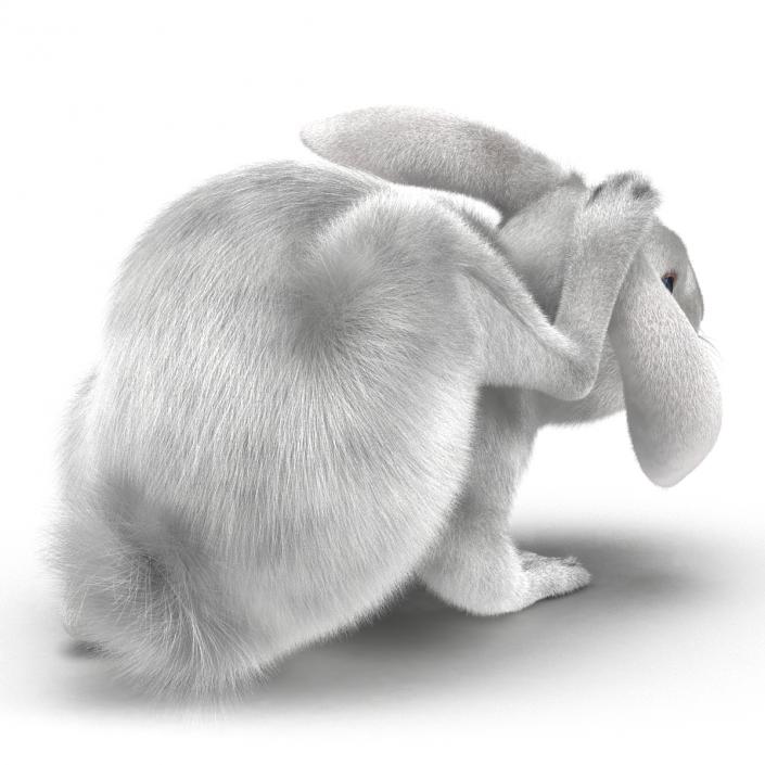 White Rabbit Pose 4 3D model