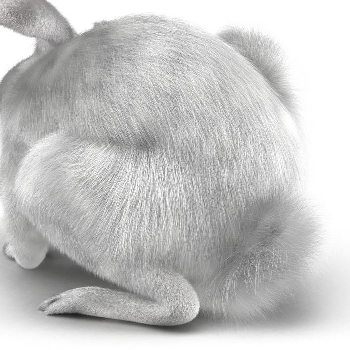 White Rabbit Pose 4 3D model