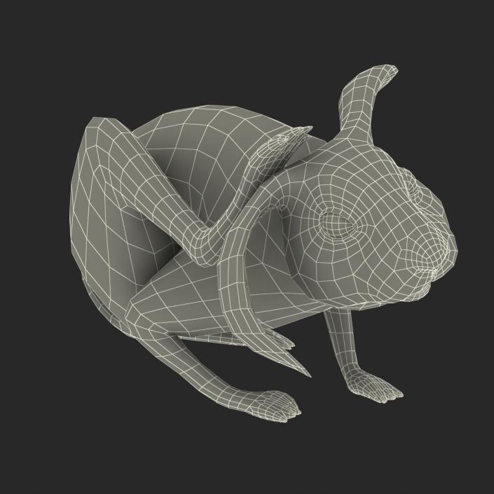 White Rabbit Pose 4 3D model