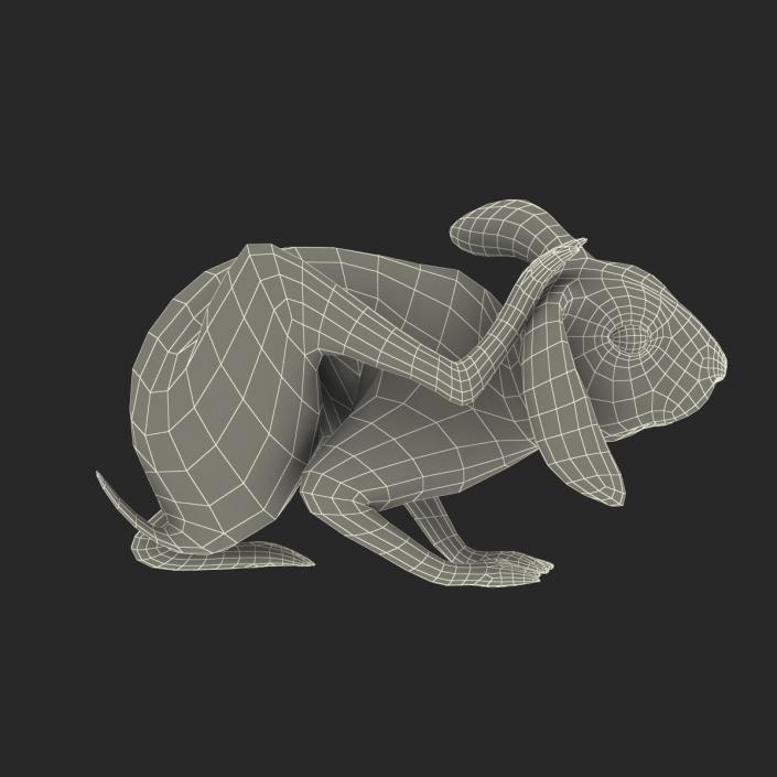 White Rabbit Pose 4 3D model