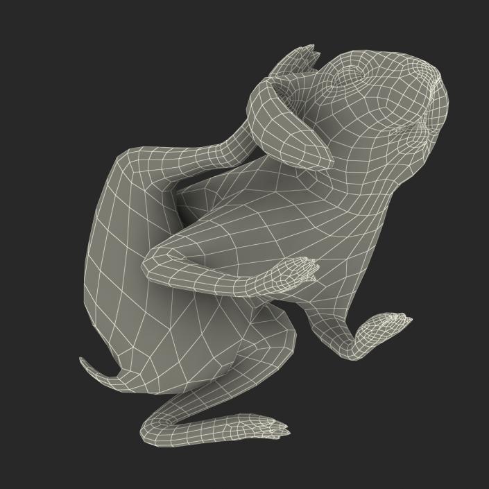 White Rabbit Pose 4 3D model