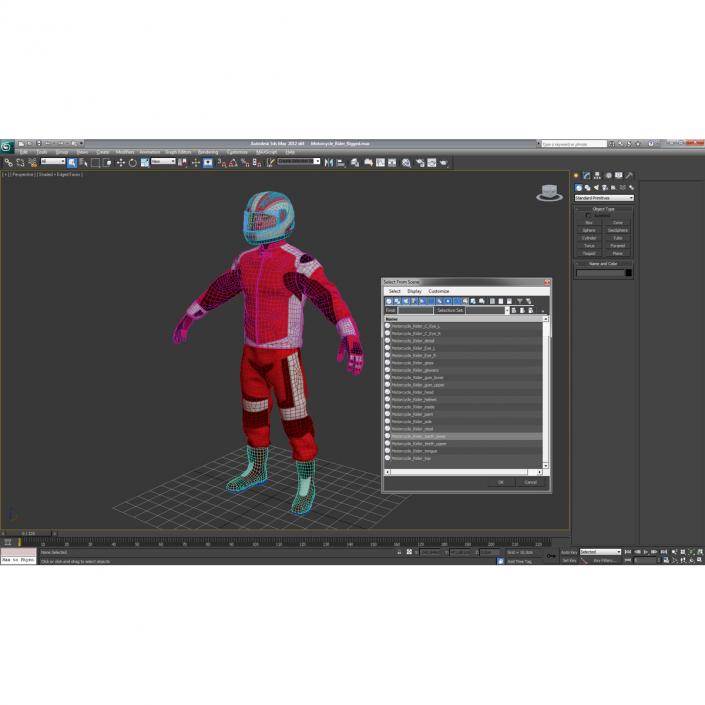 3D Motorcycle Rider Generic 2