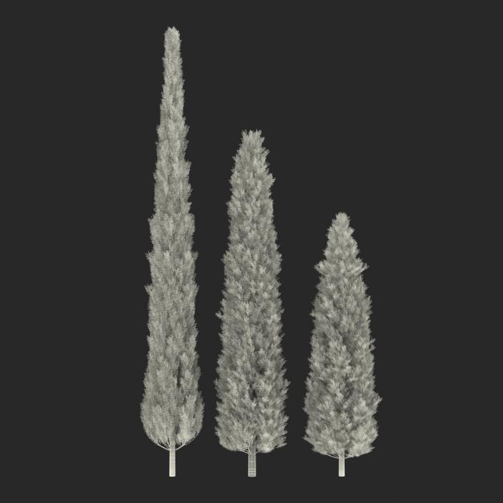 Cypress Trees Set 3D