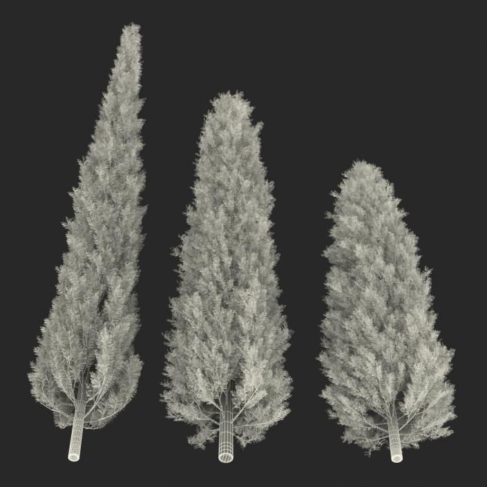 Cypress Trees Set 3D