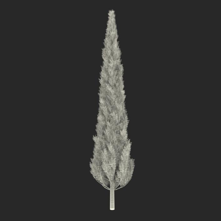 Cypress Trees Set 3D