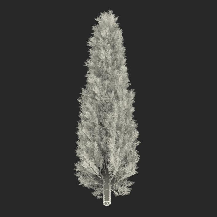 Cypress Trees Set 3D