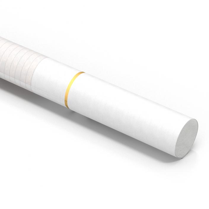 3D Cigarette Generic White model