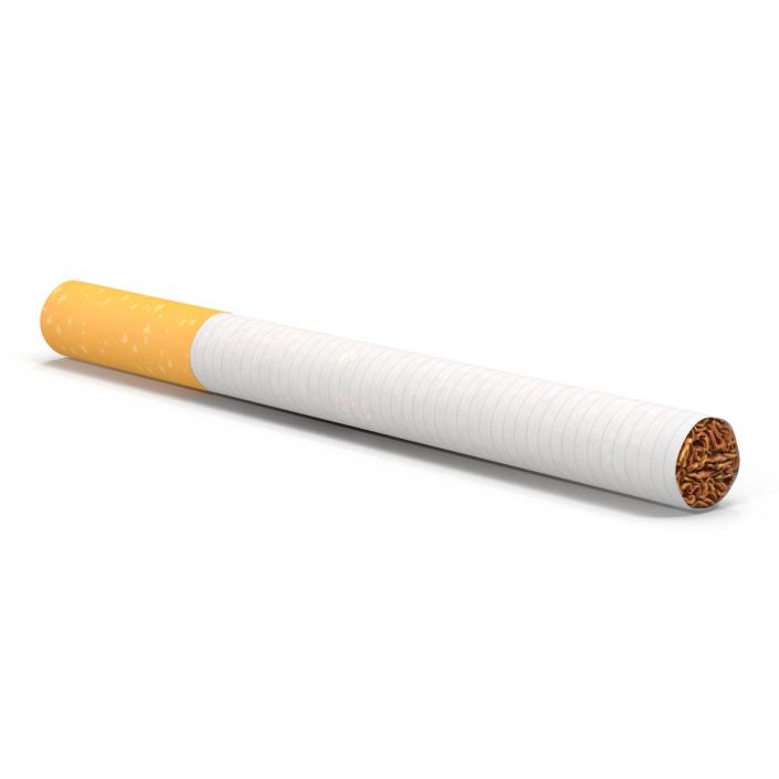 Cigarette Generic 3D