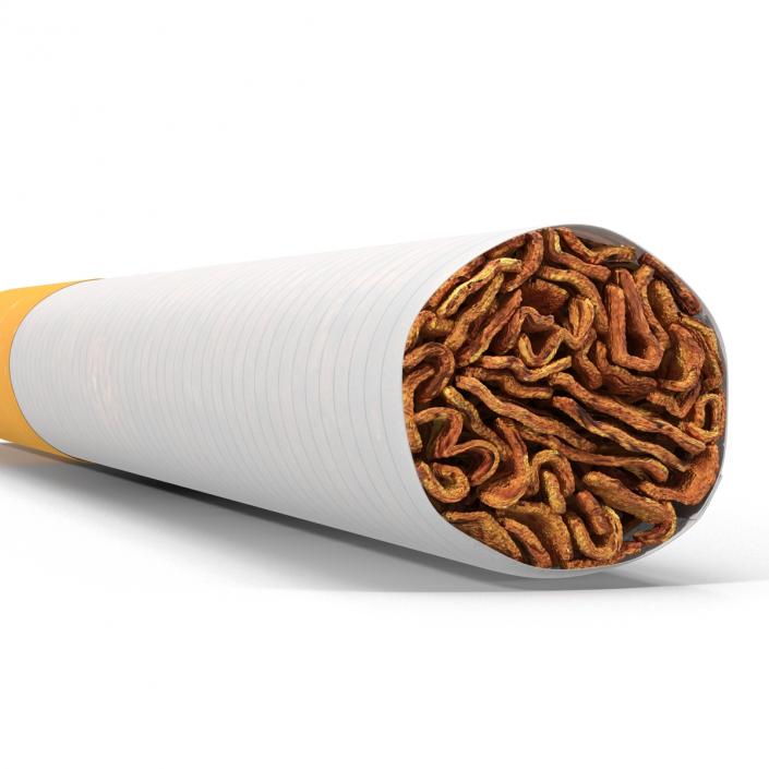 Cigarette Generic 3D