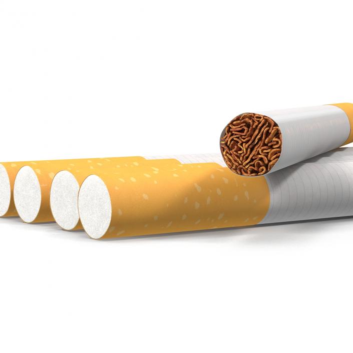 Cigarette Generic 3D