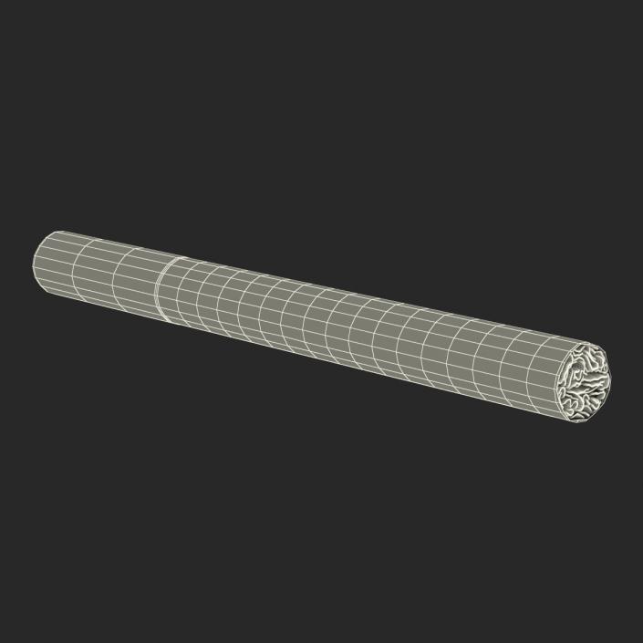 Cigarette Generic 3D