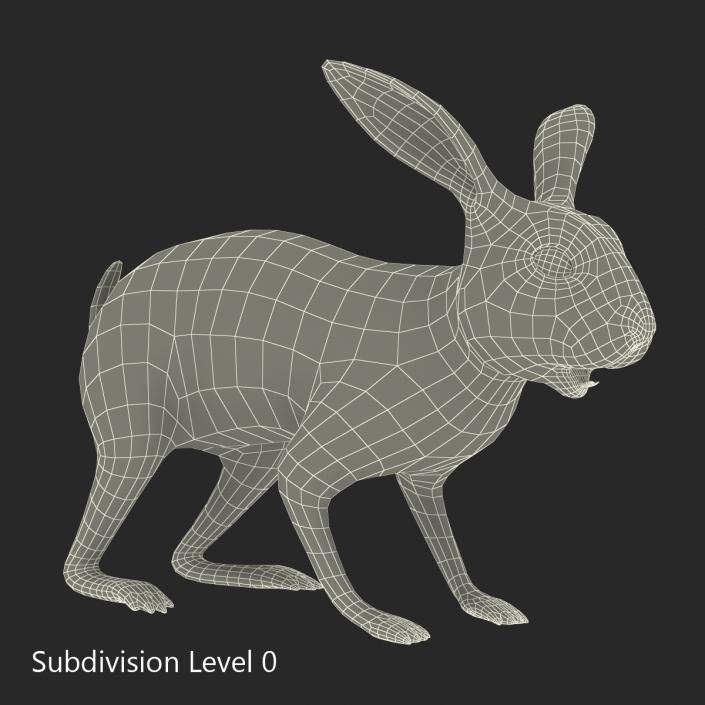 3D model Rabbit