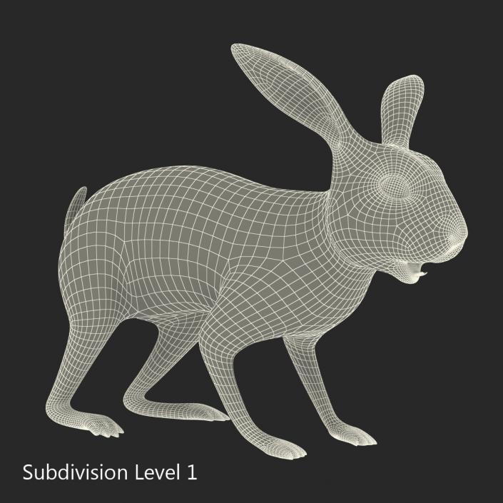 3D model Rabbit